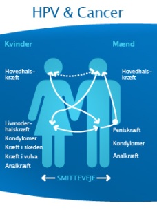 mænd vs kvinder blødning efter samleje ved graviditet mænd vs kvinder blødning efter samleje ved graviditet